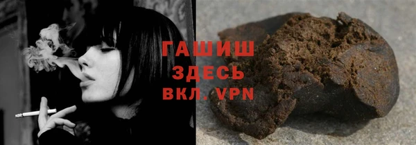 прущие грибы Апатиты