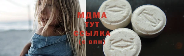 прущие грибы Апатиты