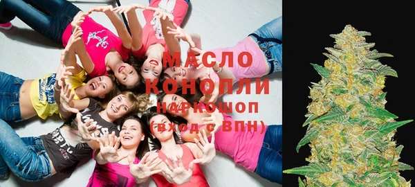 индика Медногорск