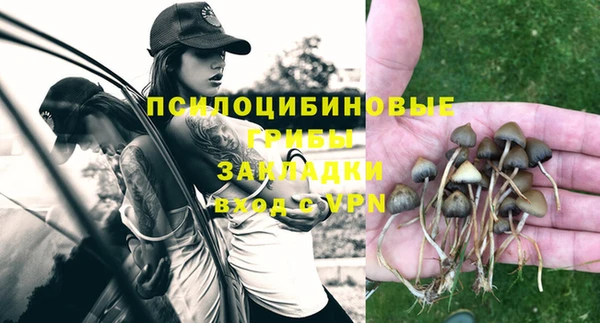 дмт Мегион