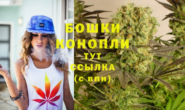 дживик Анива