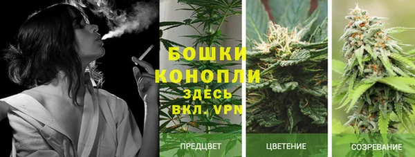 MESCALINE Михайловка