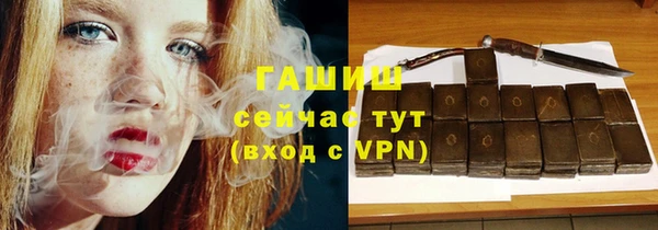 индика Медногорск